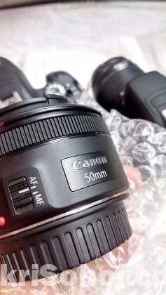 50mm STD Canon Lense